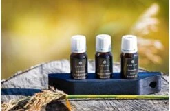 Emendo Emendo Set Sauna Geuren 3 X 10 Ml Inclusief Houten Rekje -Hayward Verkoopwinkel emendo emendo set sauna geuren 3 x 10 ml inclusief 1