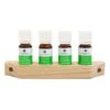 Emendo Emendo Set Sauna Geuren 4x10ml Inclusief Houten Rekje -Hayward Verkoopwinkel emendo emendo set sauna geuren 4x10ml inclusief ho