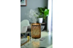 Esteban Esteban Mist Diffuser Light & Gold Edition 7 Esteban Esteban Mist Diffuser Light & Gold Edition -Hayward Verkoopwinkel esteban esteban mist diffuser light gold edition 2