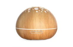 GX Diffuser GX-21K Aroma Diffuser