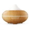 GX GX-20K Aroma Diffuser -Hayward Verkoopwinkel gx gx 20k aroma diffuser