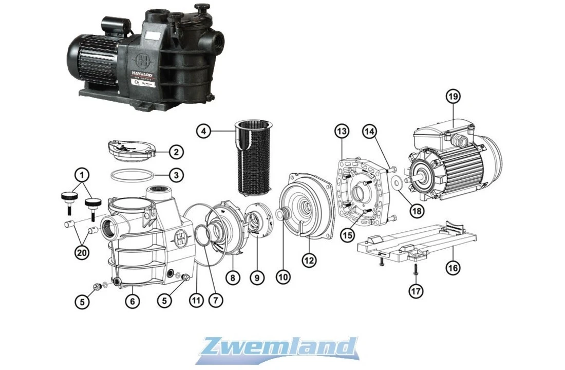 Hayward Hayward Max Flo Pomphuis Pakking SPX1600T 4 Hayward Hayward Max Flo Pomphuis Pakking SPX1600T - Afbeelding 2