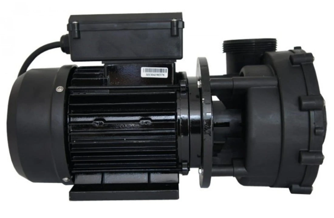 LX LP250 Massage Pomp Jacuzzi 1,85 KW 3 LX LP250 Massage Pomp Jacuzzi 1,85 KW