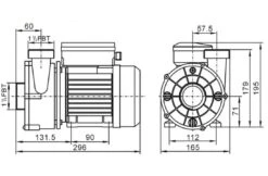 LX Pompen LX WTC50M Circulatiepomp Voor Jacuzzi Spa En Bubbelbad 0,25 KW -Hayward Verkoopwinkel lx pompen lx wtc50m circulatiepomp voor jacuzzi sp 2