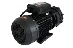 LX WP300-II Massage Pomp 2-spd 3,0hp