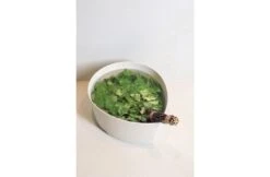 Rento Rento Pisara Wasbak 8,5 L Schors 11 Rento Rento Pisara Wasbak 8,5 L Schors -Hayward Verkoopwinkel rento rento pisara wasbak 85 l schors 4