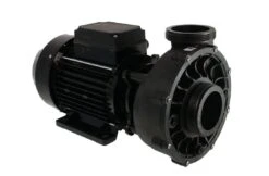 Waterway Waterway Viper 1-spd 5,0hp 56 Frame Spa Pomp 220V